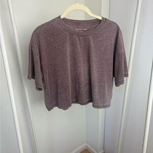 American Eagle Heathered Maroon Crop Top